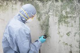 Best Real Estate Mold Inspection  in Watertown, FL